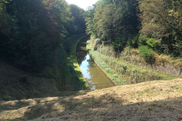 Niderviller à travers des photos