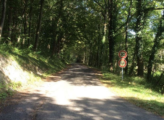 Niderviller à travers des photos