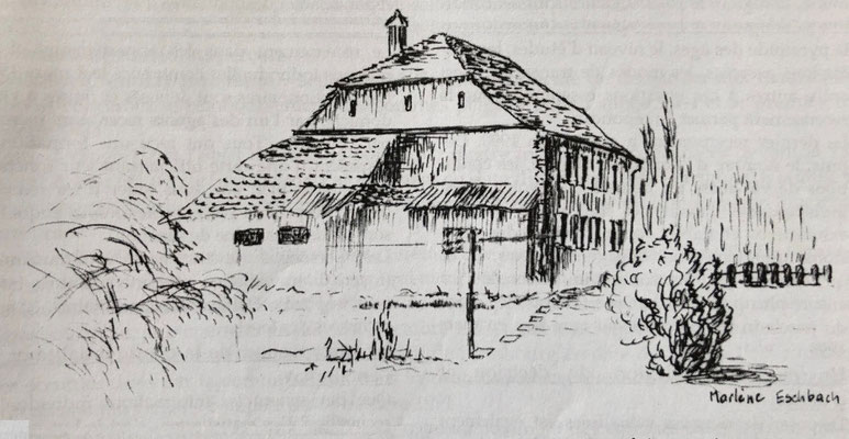 Niderviller sous le regard de l'artiste - Peintures