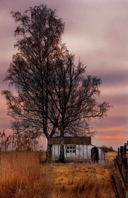 Niderviller sous le regard de l'artiste - Photos