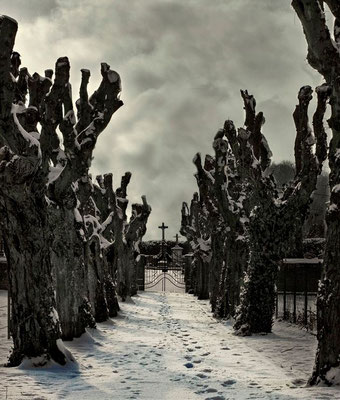 Niderviller sous le regard de l'artiste - Photos