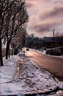 Niderviller sous le regard de l'artiste - Photos