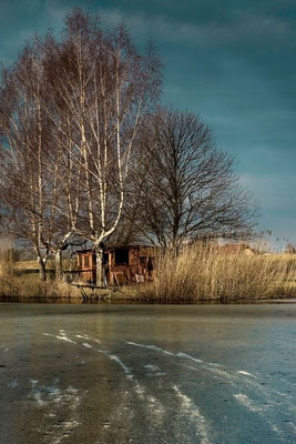 Niderviller sous le regard de l'artiste - Photos