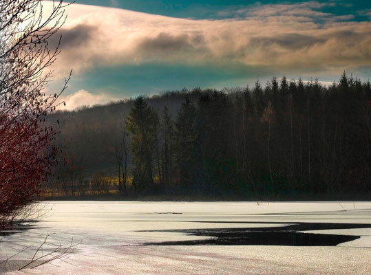 Niderviller sous le regard de l'artiste - Photos