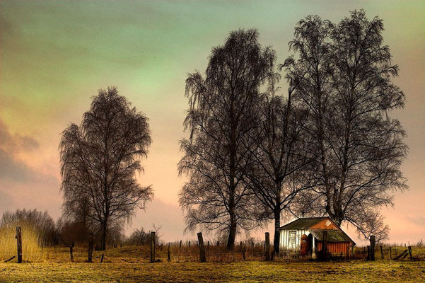 Niderviller sous le regard de l'artiste - Photos