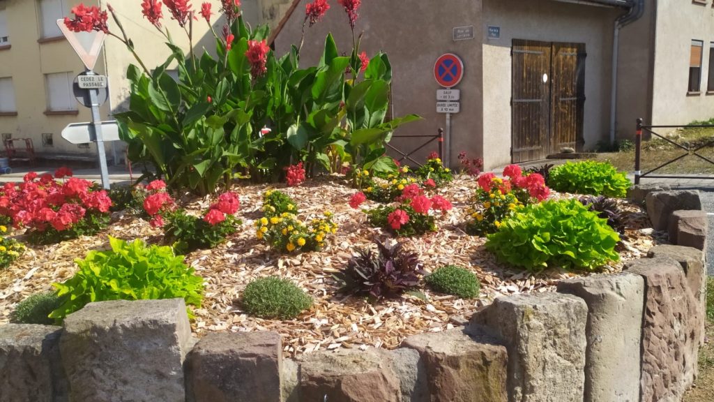 Photo du village