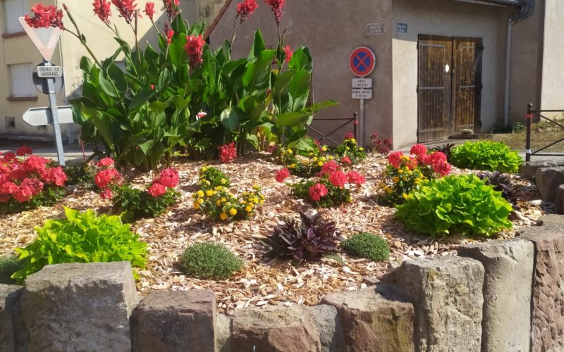 Photo du village