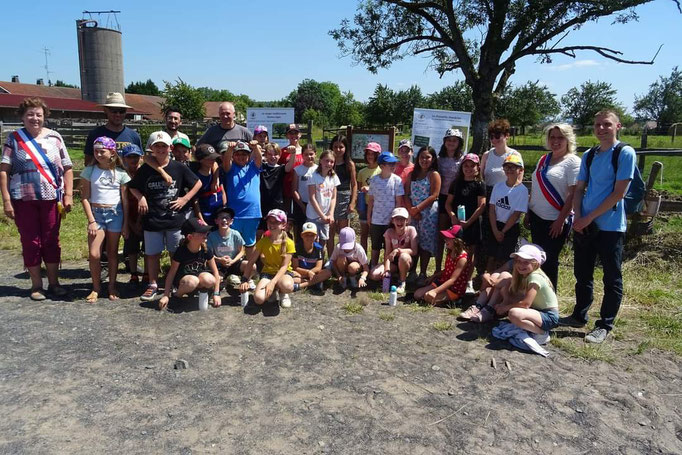 Projet sur l'année - La chouette chevêche et effraie