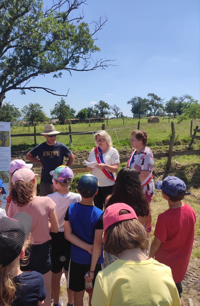Projet sur l'année - La chouette chevêche et effraie