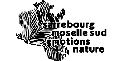 Logo de l'Office de Tourisme de Sarrebourg Moselle Sud - pied de page site
